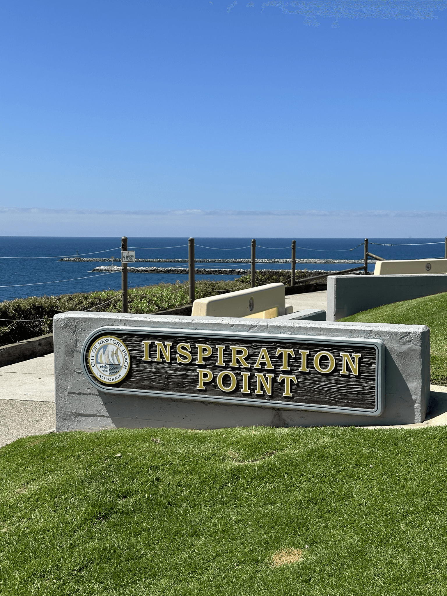 Image-1536x2048.png