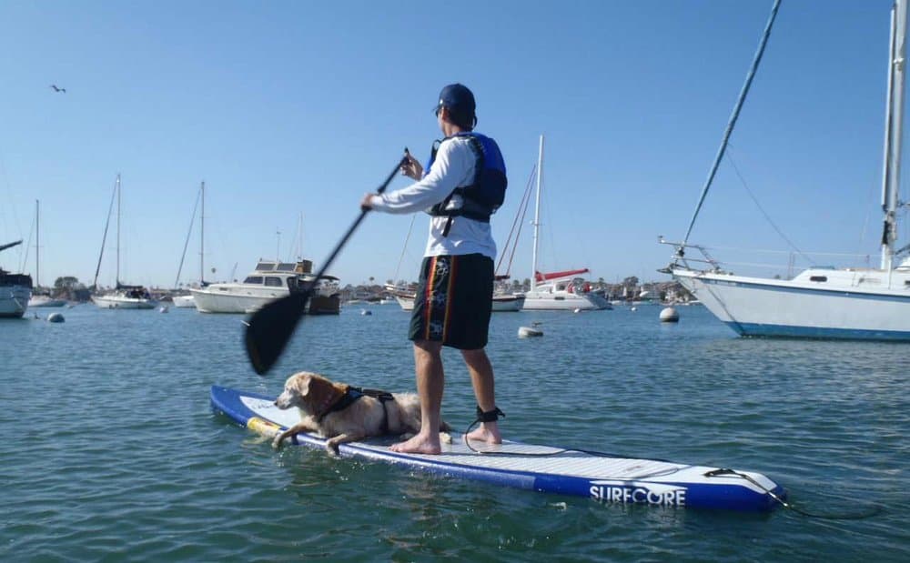 balboa-village.jpg