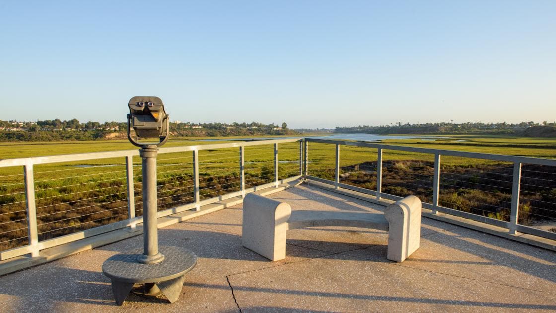 Upper Newport Bay Nature Preserve.jpg