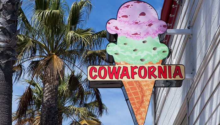 cowafornia.jpg